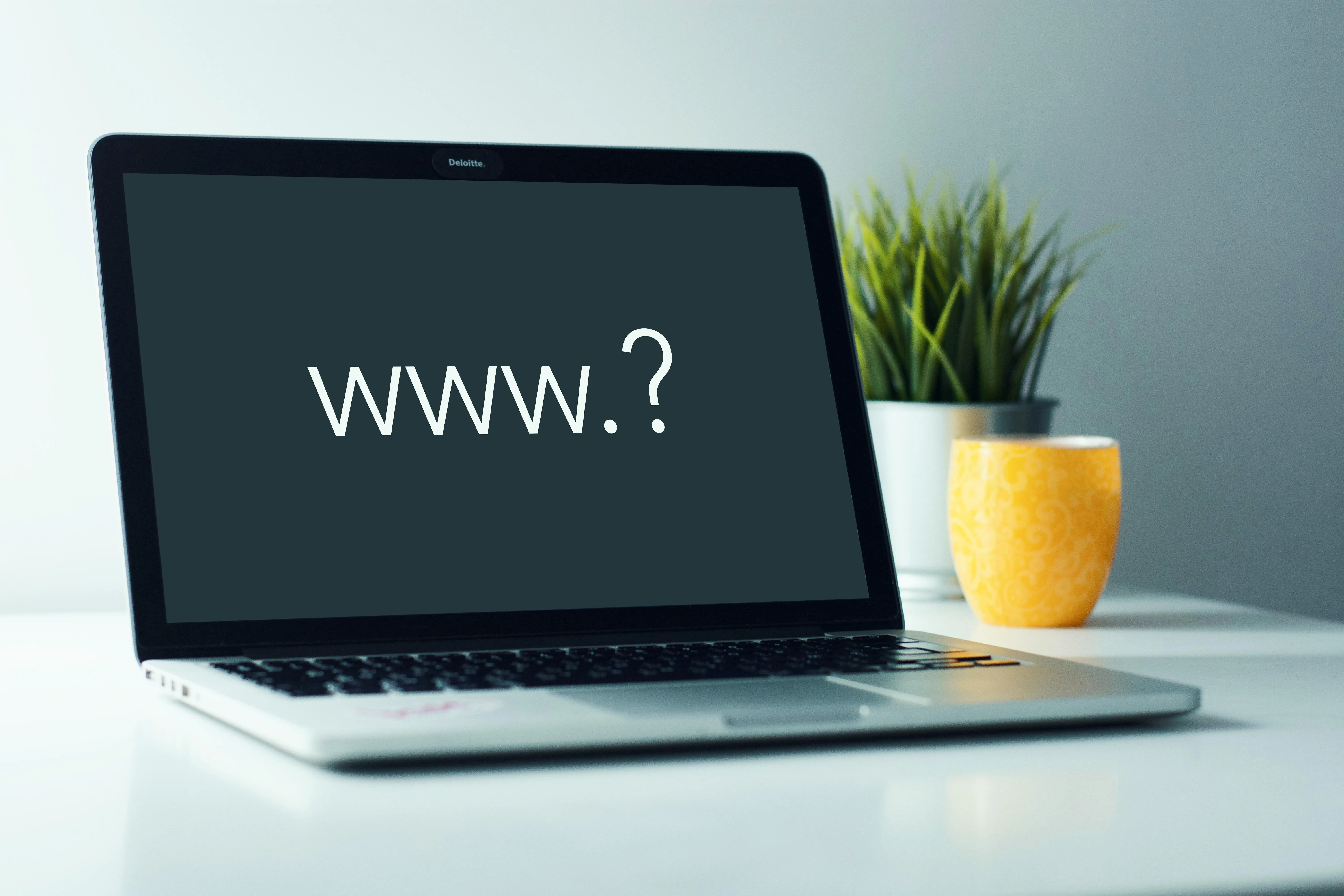 Dealing with domain names